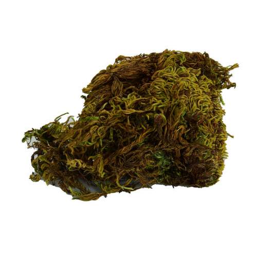 Yosun Su Yosunu Doğal 100 Gr Paket Yosun Su Yosunu Doğal 100 Gr Paket