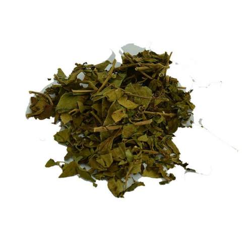 Cinnema Gurmar Otu Gymnema Sylvestr 100 Gr Paket Cinnema Gurmar Otu Gymnema Sylvestr 100 Gr Paket