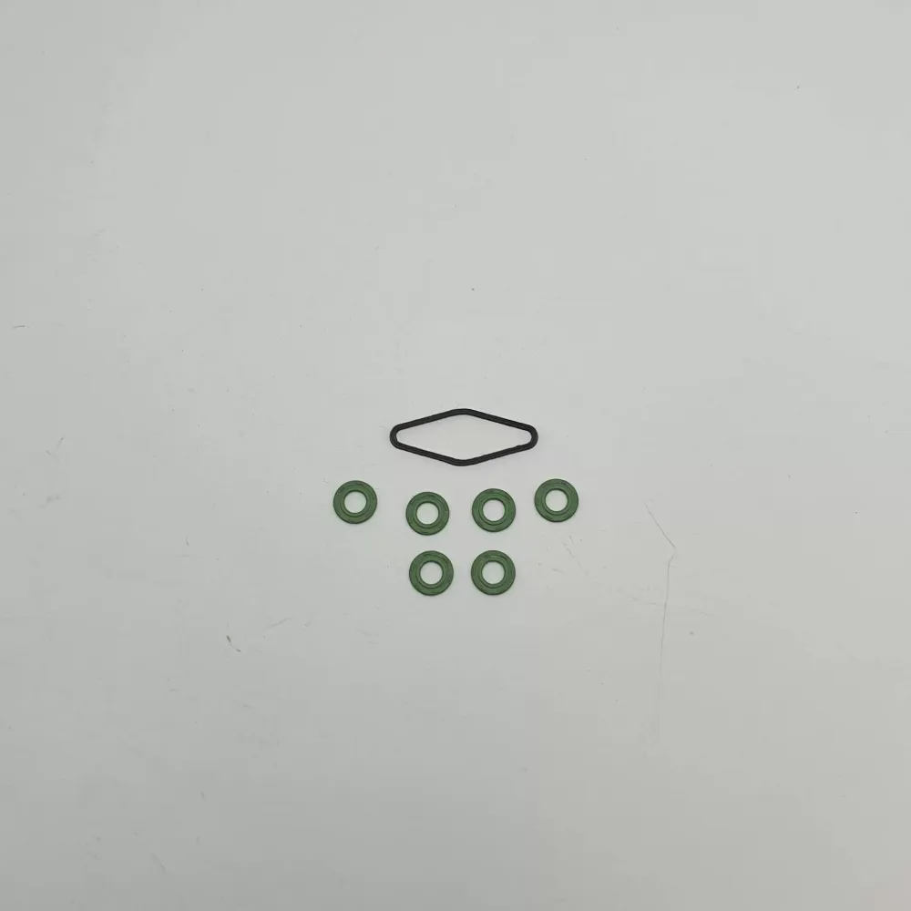 PNÖMATİK VALF TAMİR TAKIMI KEÇE VE ORİNGLERİ 4-V-A 110-120 A811 (Lisinya)