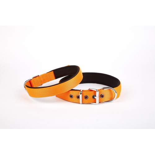 Softlu Dokuma Köpek Tasması 2,5 cm x 50 cm Turuncu Softlu Dokuma Köpek Tasması 2,5 cm x 50 cm Turuncu