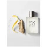 Giorgio Armani Acqua Di Gio EDT 100 ml Erkek Parfümü